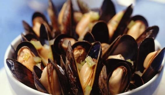 Małże z sosem z białego wina