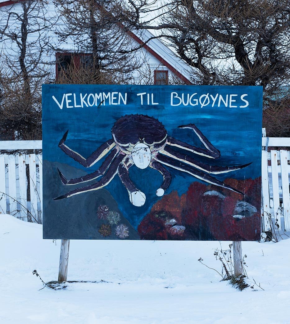 Zaloguj się bugøynes